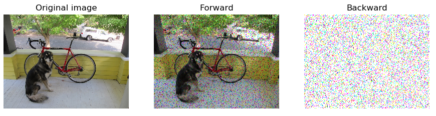 The image show the input image and the outputs of the forward function and backward function(given a random delta) of a DropOut layer with drops probability of 10%